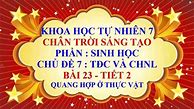 Khoa Học Tự Nhiên Lớp 7 Bài 23 Quang Hợp Ở Thực Vật