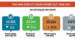 Tổng Số Doanh Nghiệp Việt Năm 2021 Là Gì Wikipedia