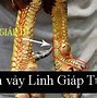 Vảy Gà Chọi Tam Tài Phủ Địa